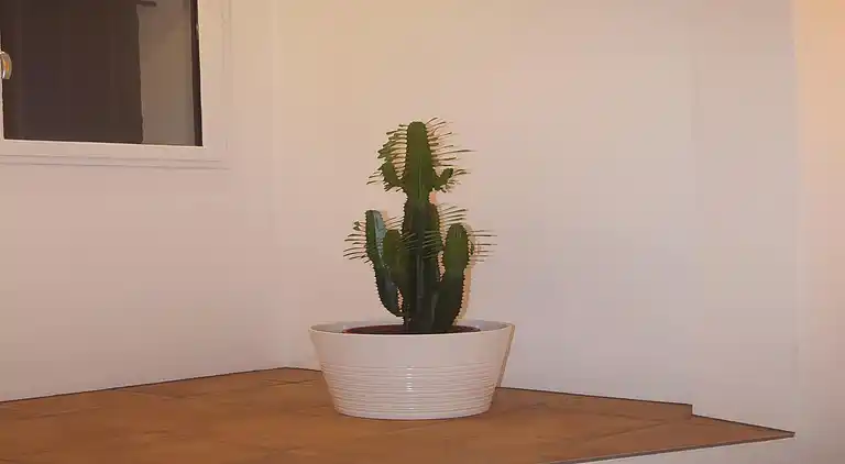 Villa in Cavalaire-sur-Mer