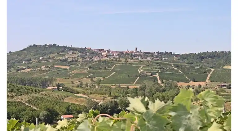 Ferienhaus in Mombaruzzo