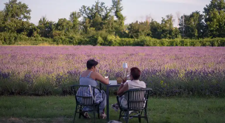 Boerderij in Asciano