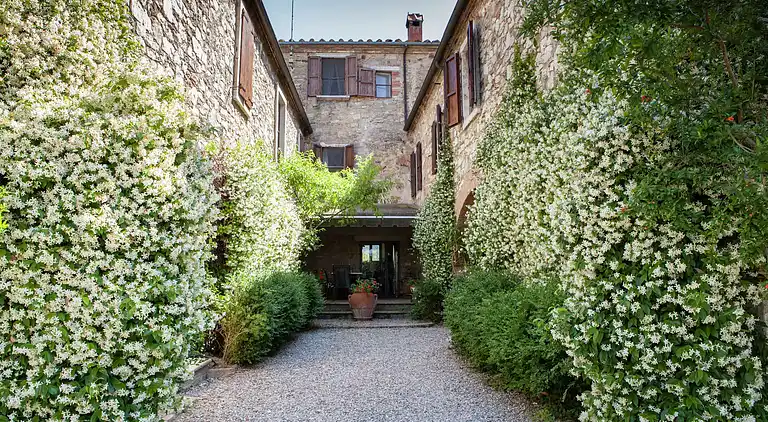 Gårdhus i Asciano