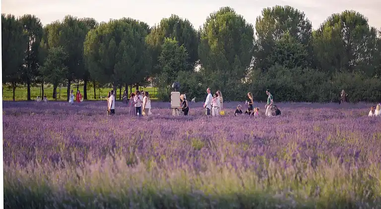 Boerderij in Asciano