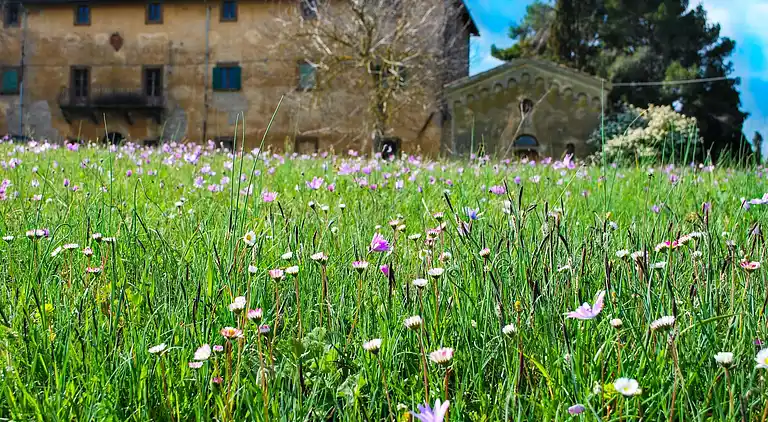 Holiday home in Volterra