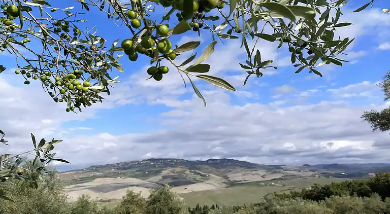 Holiday home in Volterra