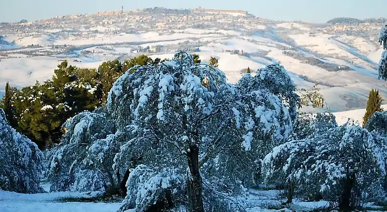 Holiday home in Volterra