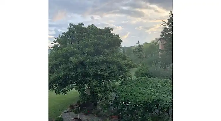 Ferienhaus in Seggiano