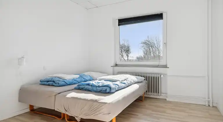 Hus til 40 personer ved Thy