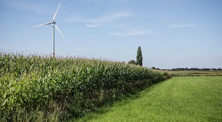 Apartment in Loenhout