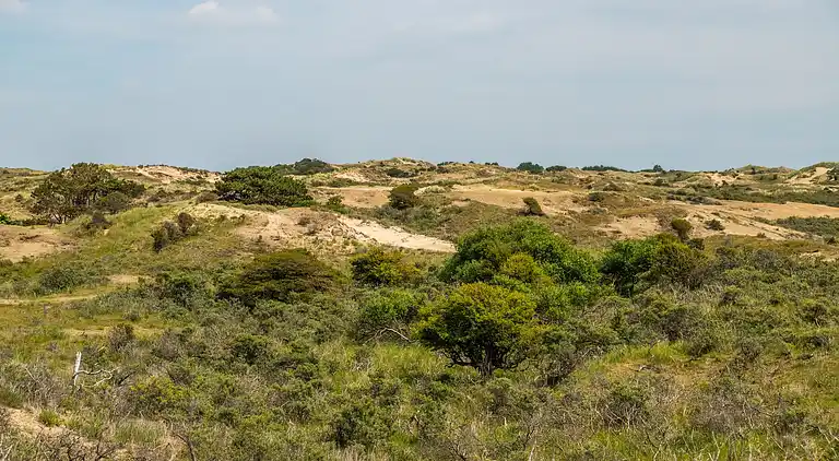 Apartment in South Holland