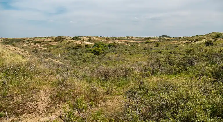 Ferielejlighed i Zuid-Holland