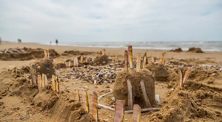 Cottage in South Holland