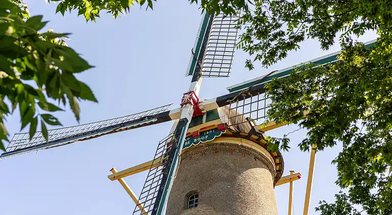 Villa in South Holland