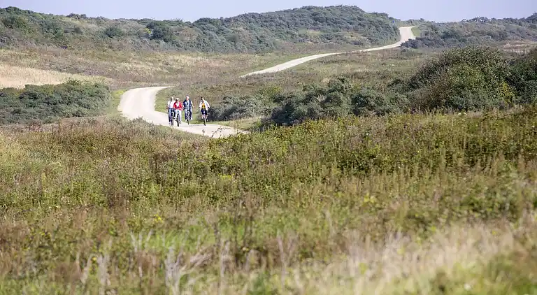 Holiday home in South Holland