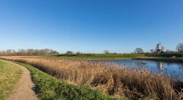Maison de vacances en Veere