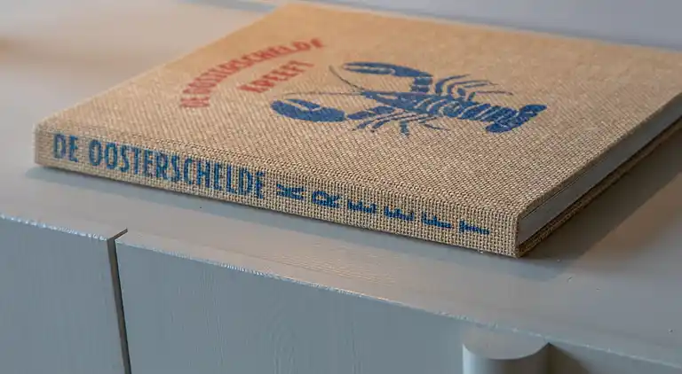 Vakantiehuis in Zoutelande