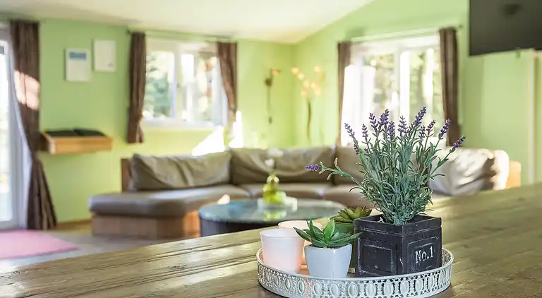 Holiday home in De Bult