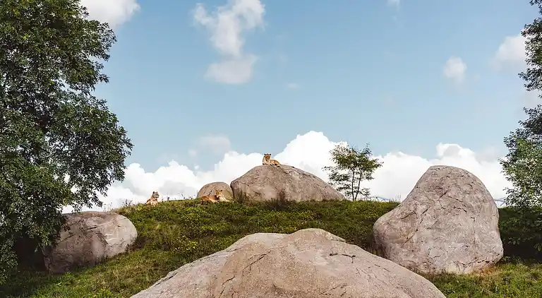 Villa i Gasselternijveen