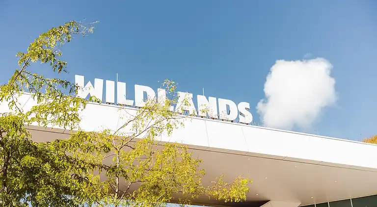 Cottage in Gasselternijveen