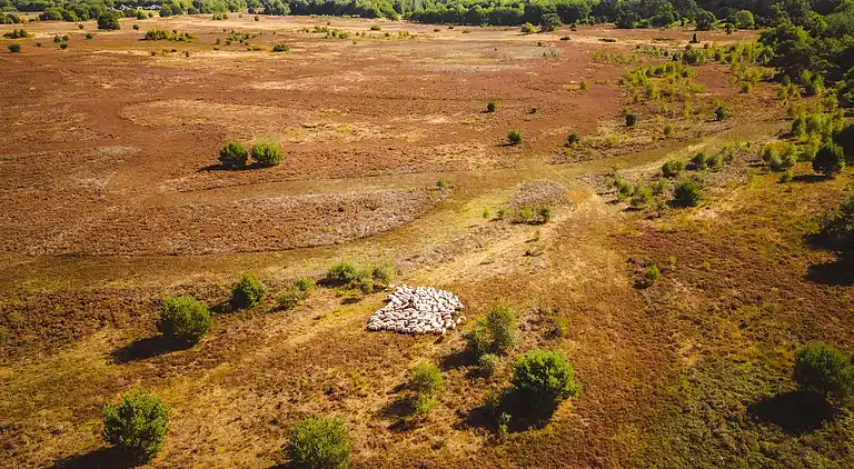 Villa i Gasselternijveen