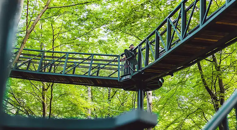 Cottage in Gasselternijveen