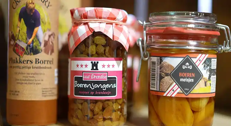 Villa in Gasselternijveen