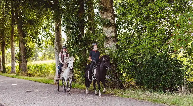 Villa i Gasselternijveen