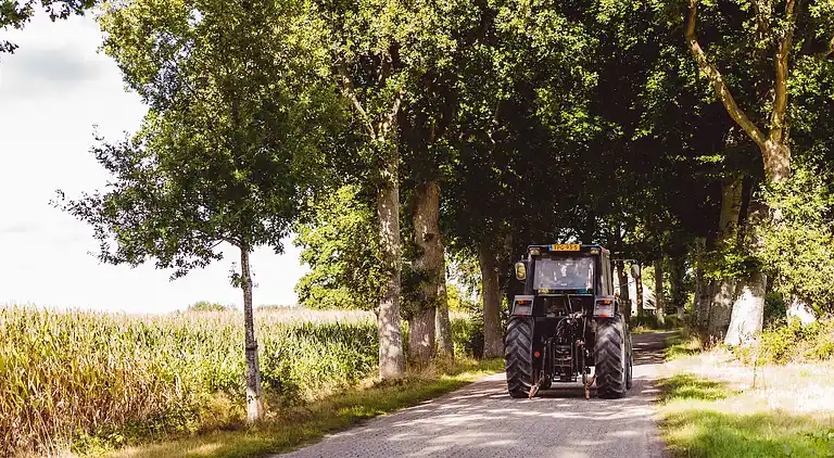 Villa in Gasselternijveen