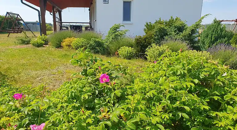 Chalet in Smołdziński Las