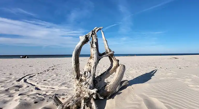 Chalet in Smołdziński Las