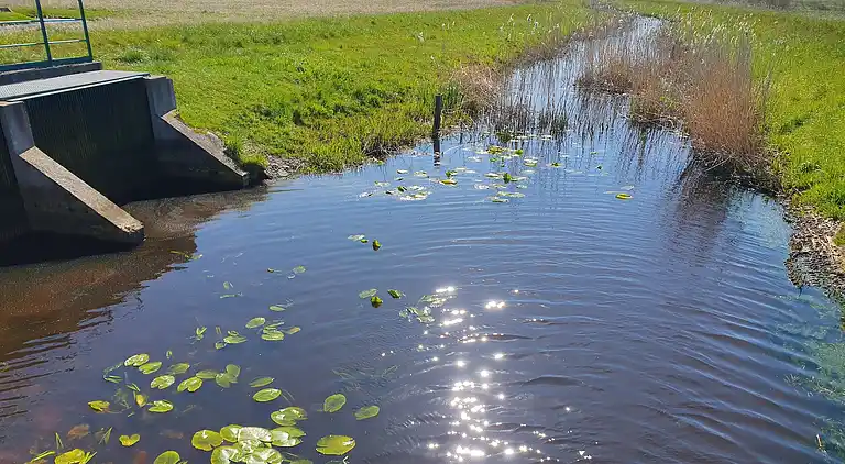 Chalet in Smołdziński Las