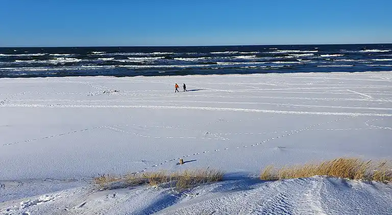Chalet in Smołdziński Las
