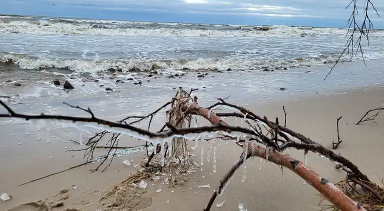 Chalet in Smołdziński Las