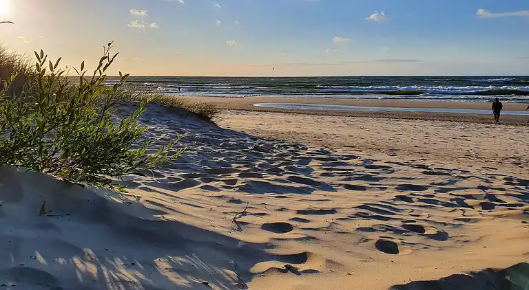 Chalet in Smołdziński Las