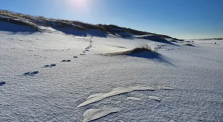 Chalet in Smołdziński Las