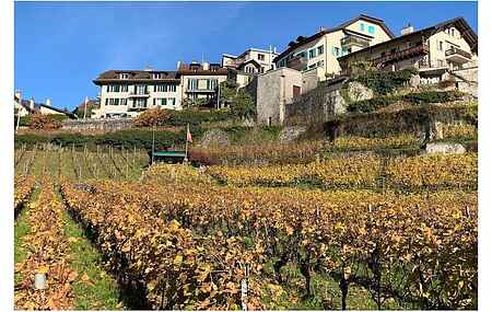 Holiday home in Montreux