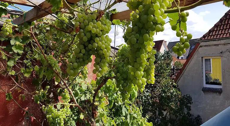 Bungalow in Nakenstorf