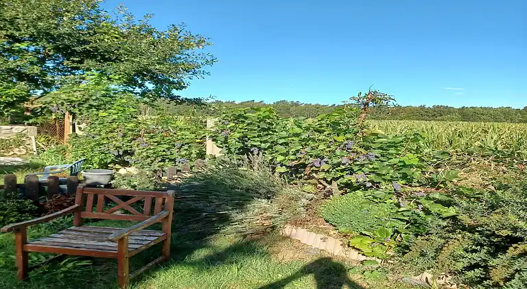 Bungalow in Nakenstorf