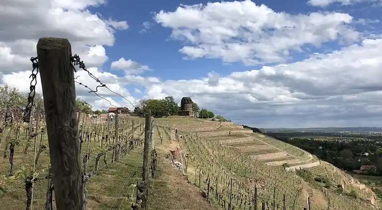 Vakantiehuis in Kötzschenbroda