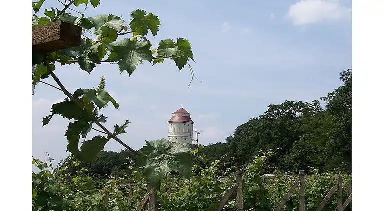 Vakantiehuis in Kötzschenbroda