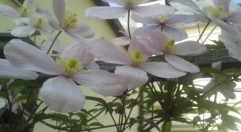 Vakantiehuis in Kötzschenbroda