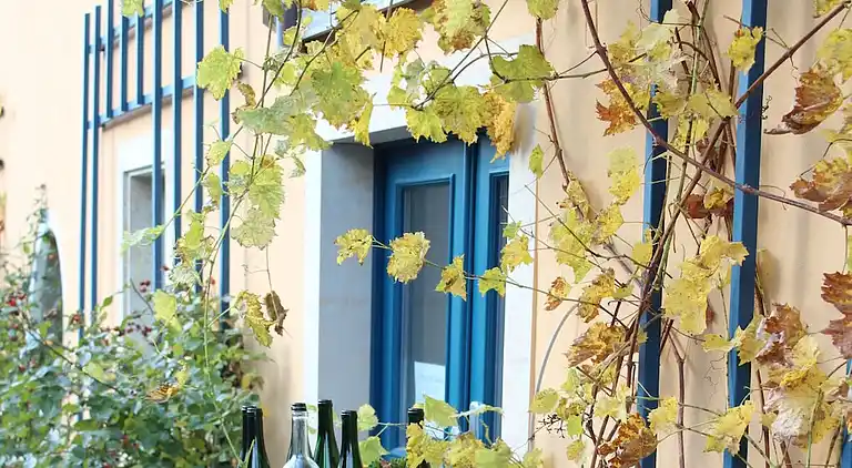 Vakantiehuis in Kötzschenbroda