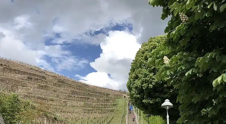 Vakantiehuis in Kötzschenbroda