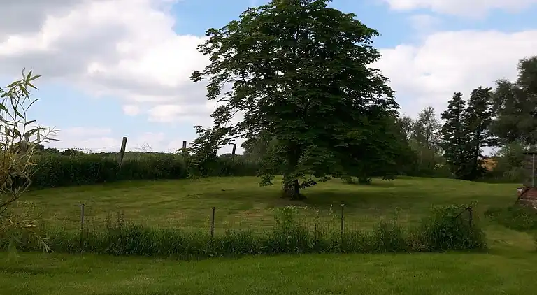 Holiday home in Hinrichshagen