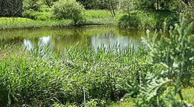 Holiday home in Hinrichshagen