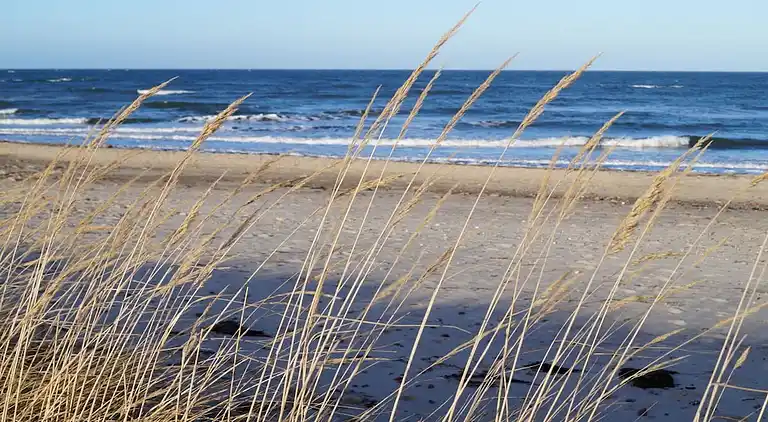 Ferienhaus in Kühlungsborn Ost