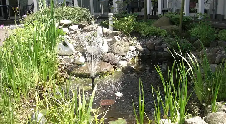 Ferienhaus in Kühlungsborn Ost