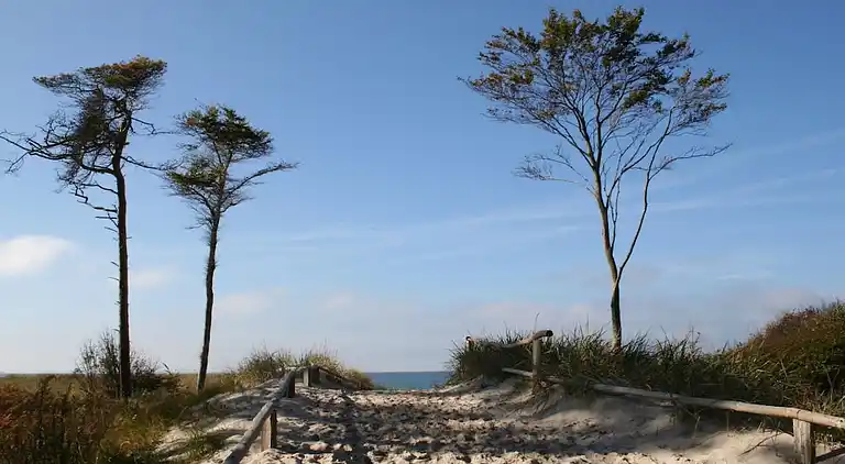Ferienhaus in Born a Darß