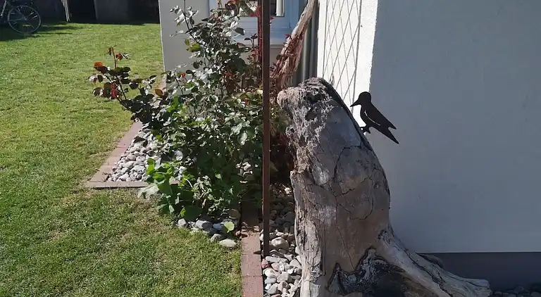 Ferienhaus in Born a Darß