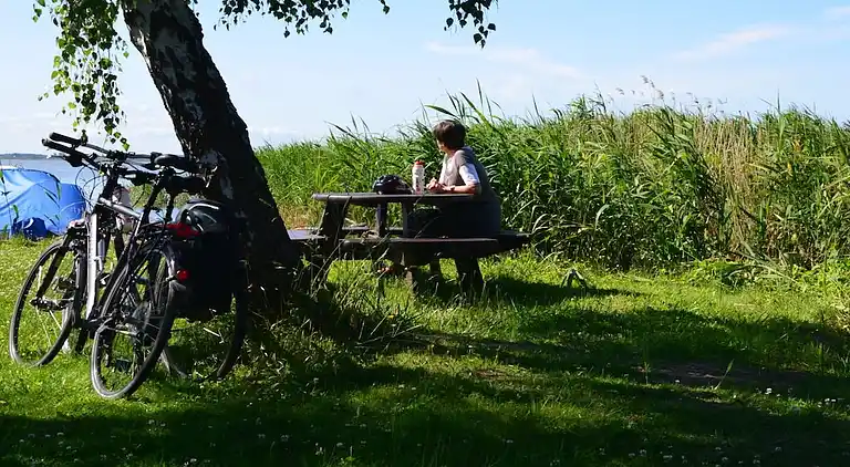 Ferienhaus in Born a Darß