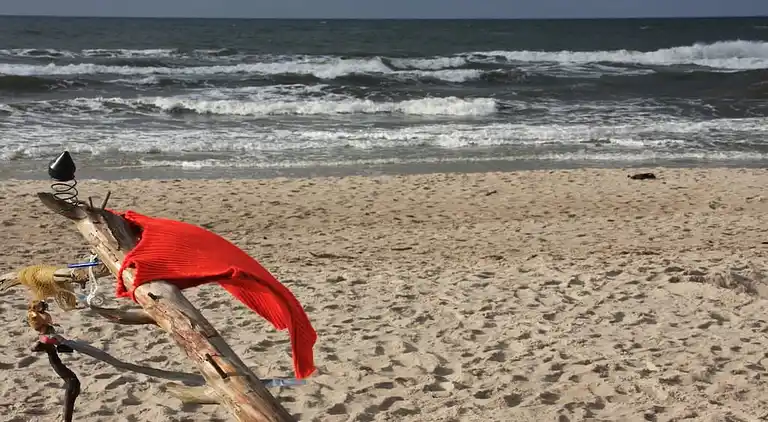 Ferienhaus in Born a Darß