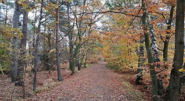Ferienhaus in Born a Darß